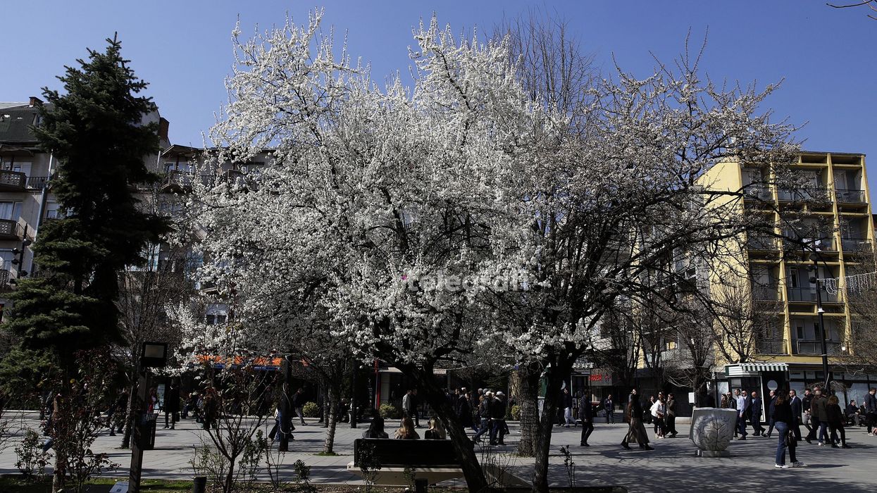 Sot mot me diell, temperaturat shënojnë ngritje Sot mot me diell, temperaturat shënojnë ngritje