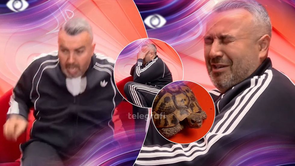 Frika nga breshkat, reagimi epik i Rogertit bëhet viral