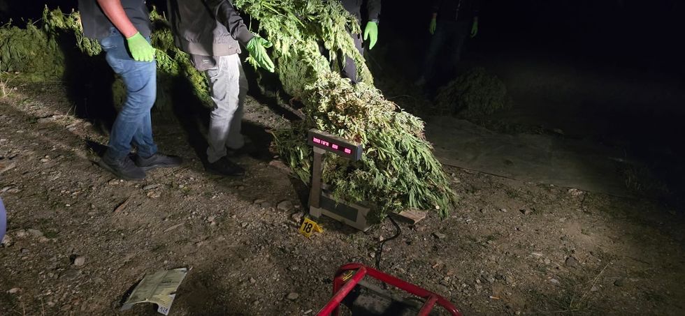 Ishin sekuestruar narkotikë mbi 500 kg dhe armë të rënda vitin e kaluar - Prokuroria kërkon paraburgim për të pandehurin që e vetëdorëzua