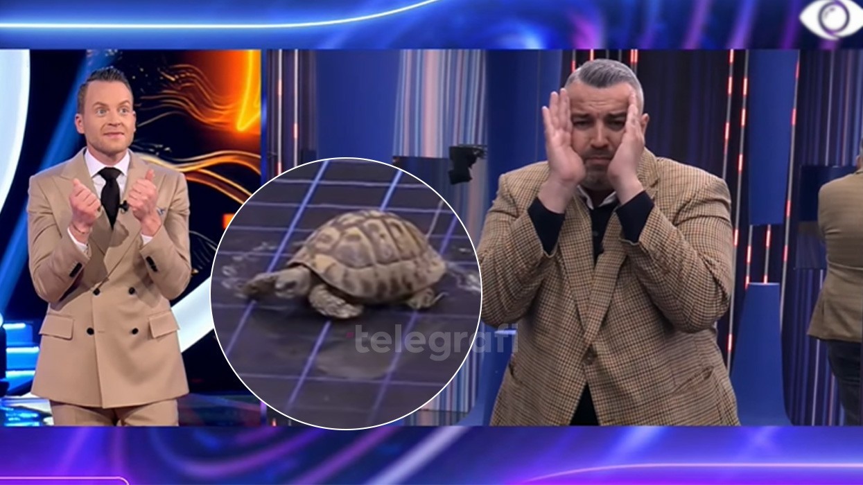 Rogerti përballet me frikën e tij nga breshkat për të folur me nënën në telefon