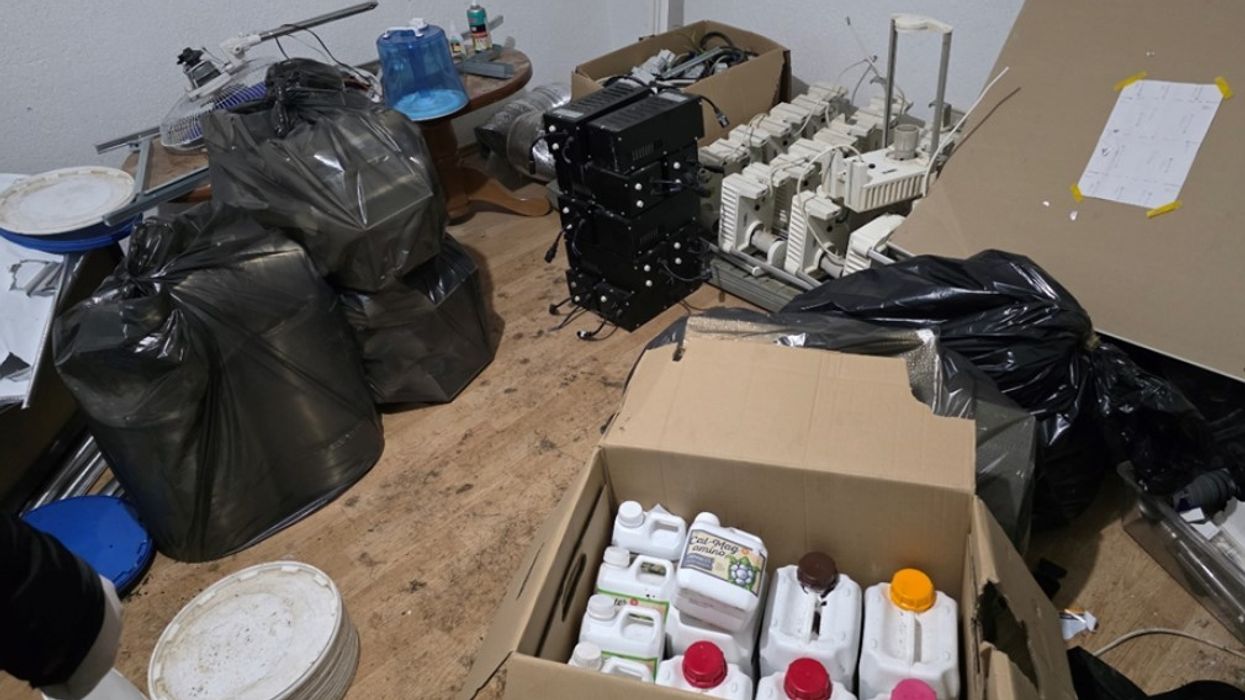 Sekuestrohen automjete, armë e bimë narkotike – dy të arrestuarit dyshohet se dogjën 300 bimë kanabis sativa Sekuestrohen automjete, armë e bimë narkotike – dy të arrestuarit dyshohet se dogjën 300 bimë kanabis sativa