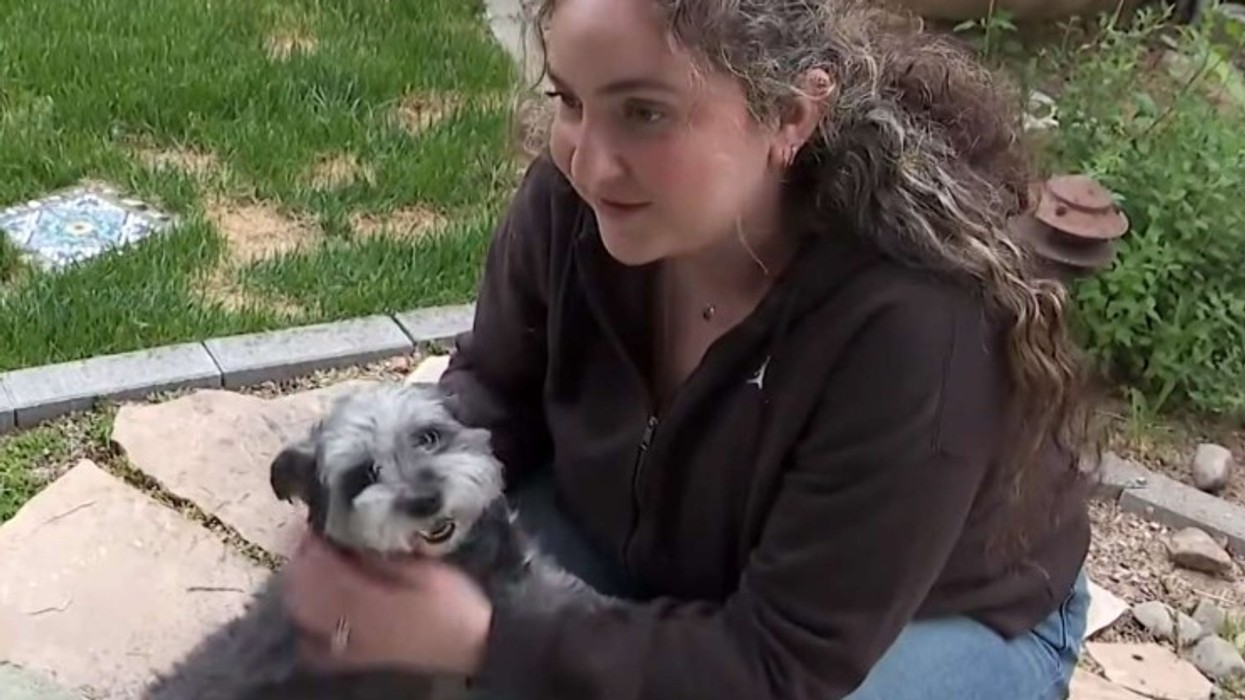 Një grua nga Kalifornia ribashkohet me qenin që i kishte humbur para pesë vjetësh