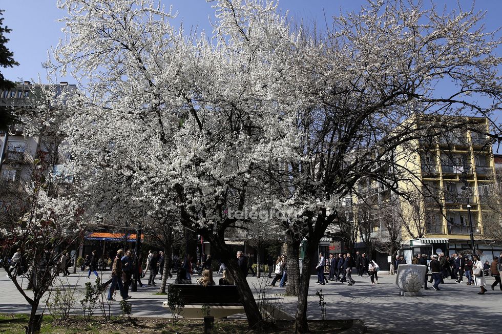 Moti në fundjavë - shi të shtunën, diell të dielën
