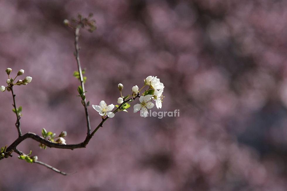 Ditë e freskët me vranësira dhe diell të pjesshëm