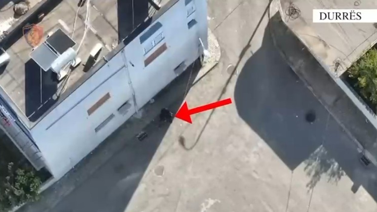 Drogë në formë karamelesh pranë shkollave - arrestohen dy vëllezër në Durrës