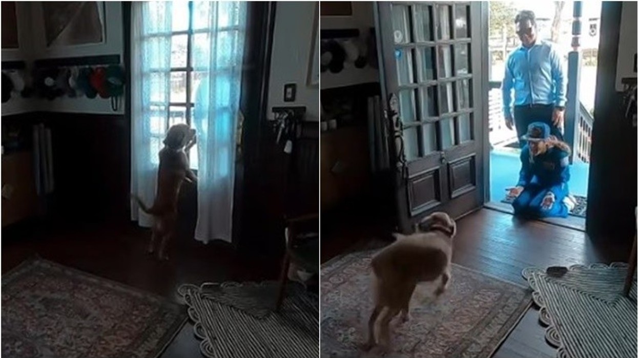 Momenti kur anëtarja e ekuipazhit të Artemis II kthehet në shtëpi – shihni si e priti qeni i saj