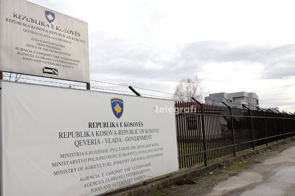 Ndalohet importi i deleve dhe dhive nga Shqipëria për shkak të shpërthimit të sëmundjes së murtajës