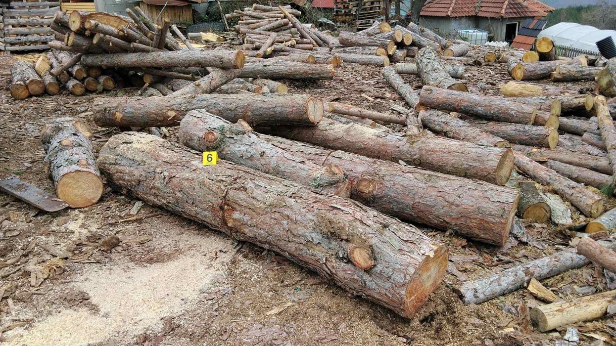 Sekuestrohen 19 metra kub dru në Dellçevë