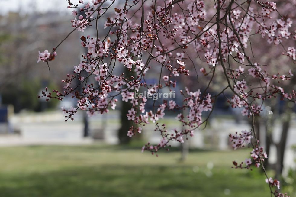 Mot i ngrohtë, temperaturat deri në 18 gradë