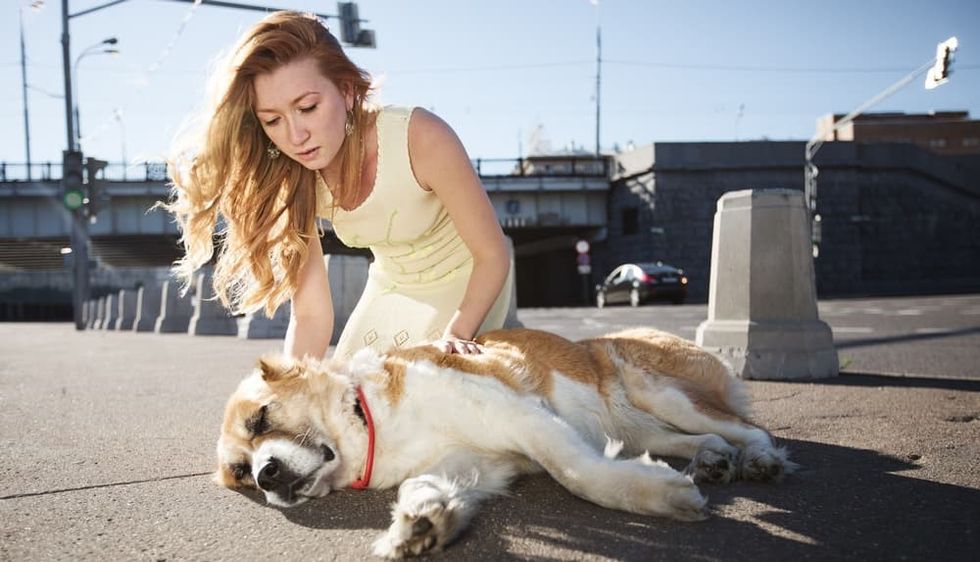 Ky moment kërkon reagim të menjëhershëm