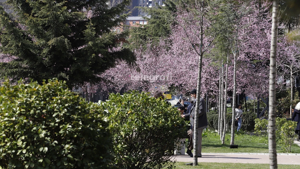 Javë me diell, temperaturat deri në 25°C