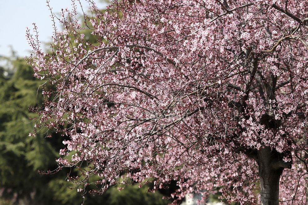 Mot me diell, temperaturat deri 21 gradë