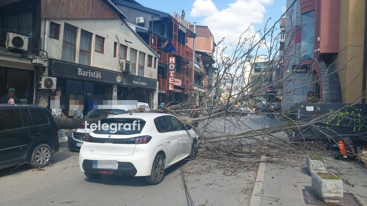 Rrëzohet një lis në lagjen “4 llullat” në Prishtinë, bie mbi dy vetura – fotografi nga vendi i ngjarjes