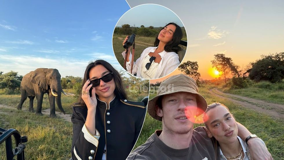 “Një udhëtim i paharrueshëm”, Dua Lipa shijon safarin në Afrikën e Jugut me të fejuarin Callum Turner