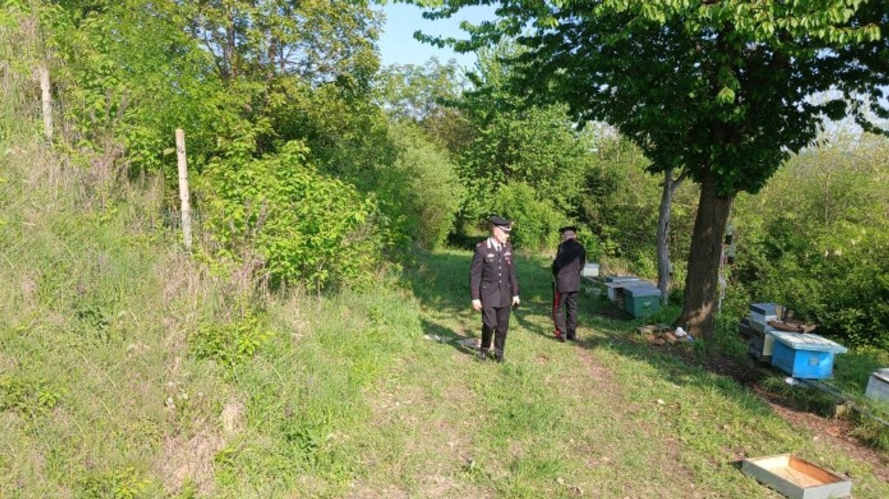 Tragjedi në Itali, 59-vjeçari shqiptar vret ish-gruan dhe partnerin e saj të ri