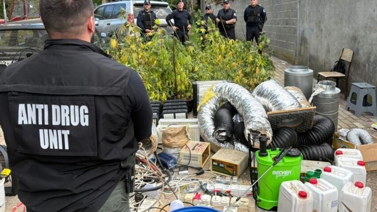 U sekuestruan mbi 90 bimë kanabis dhe armë - detaje nga zbulimi i laboratorit të drogës në Pejë U sekuestruan mbi 90 bimë kanabis dhe armë - detaje nga zbulimi i laboratorit të drogës në Pejë