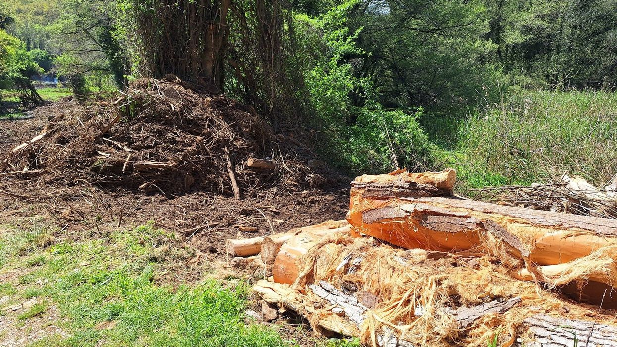 Ohrid SOS: E papranueshme prerja e drunjëve afër burimit të Drinit të Zi Ohrid SOS: E papranueshme prerja e drunjëve afër burimit të Drinit të Zi