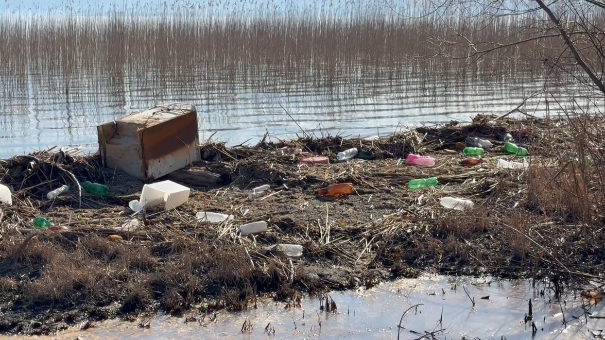 Ndotja e Liqenit të Ohrit alarmon ekspertët, biologët kërkojnë masa urgjente për mbrojtjen e tij