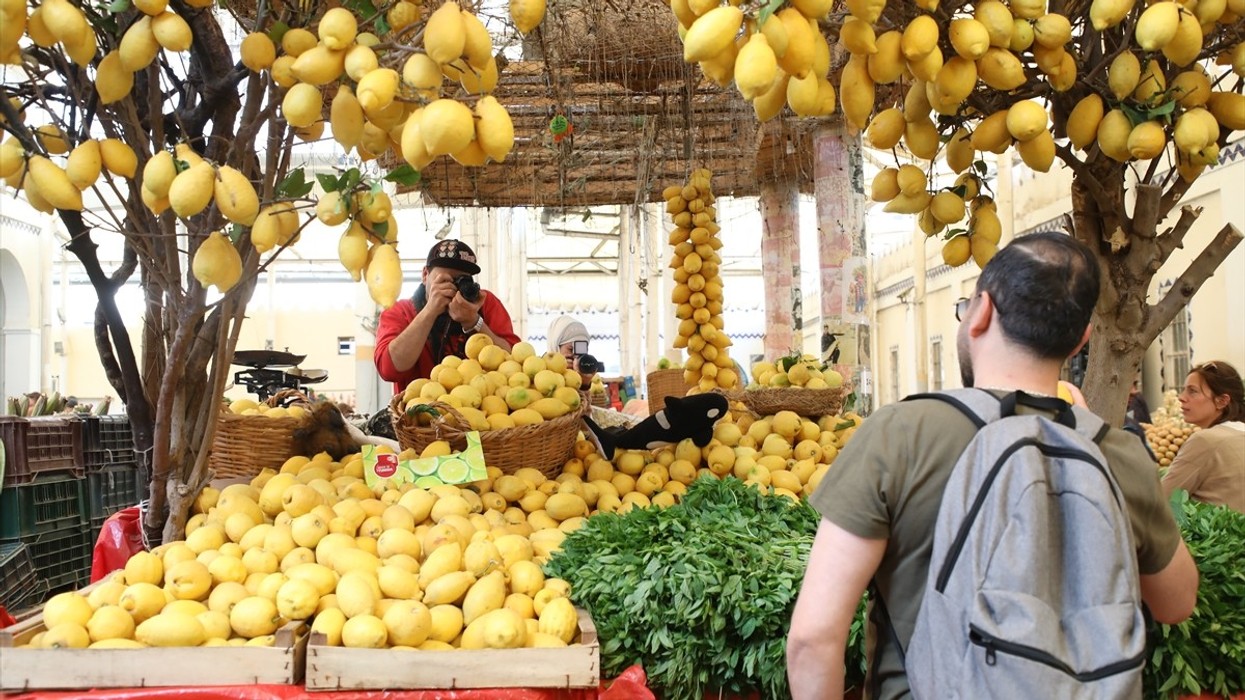 “Mbreti i Agrumeve” që po magjeps turistët në Tunis