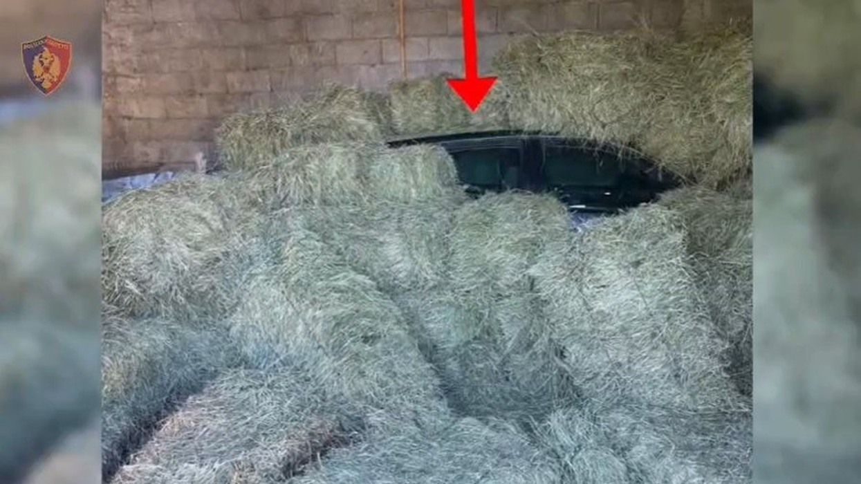 Vrasja e çiftit në Lezhë, policia zbulon makinën e krimit dhe veshjet e autorëve