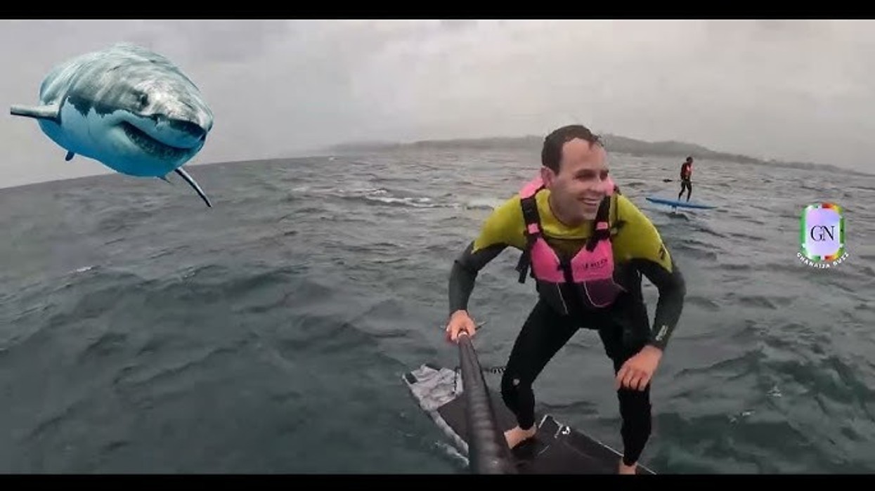 Videoja tregon një peshkaqen tri metra të gjatë që ndjek një burrë për dhjetë minuta në brigjet e një plazhi të njohur të Kalifornisë