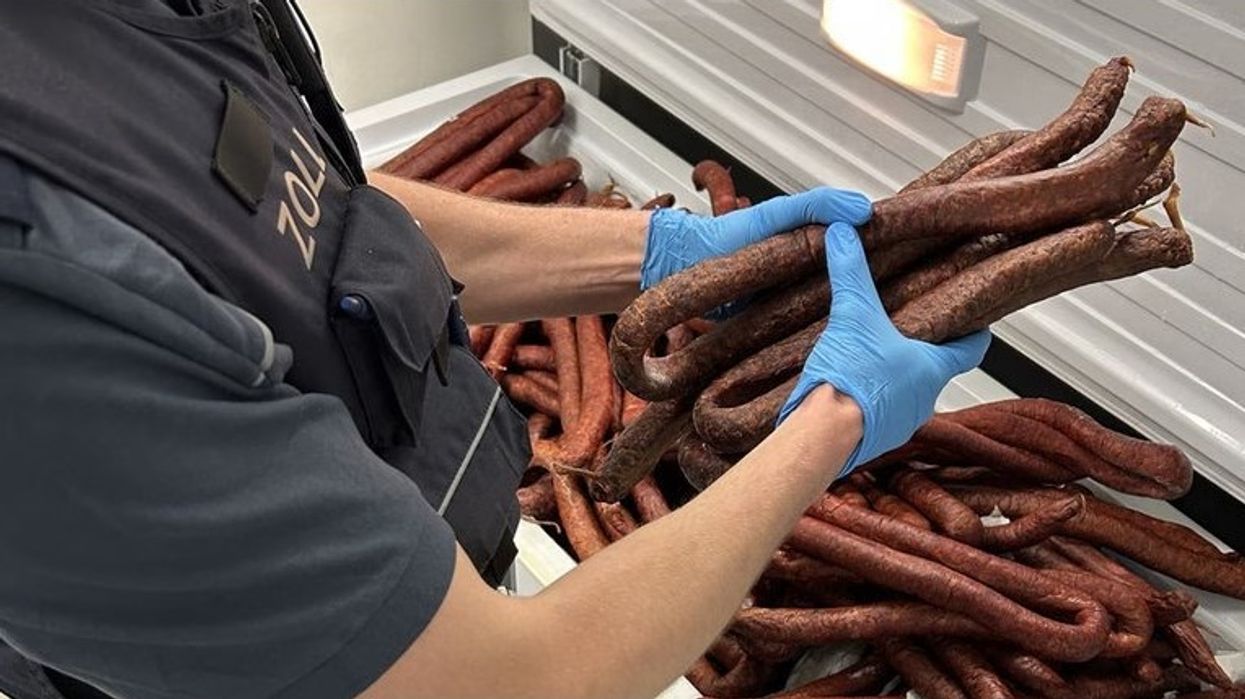 Dogana e Shtutgartit konfiskon 250 kg suxhuk në autobusin që vinte nga Kosova Dogana e Shtutgartit konfiskon 250 kg suxhuk në autobusin që vinte nga Kosova