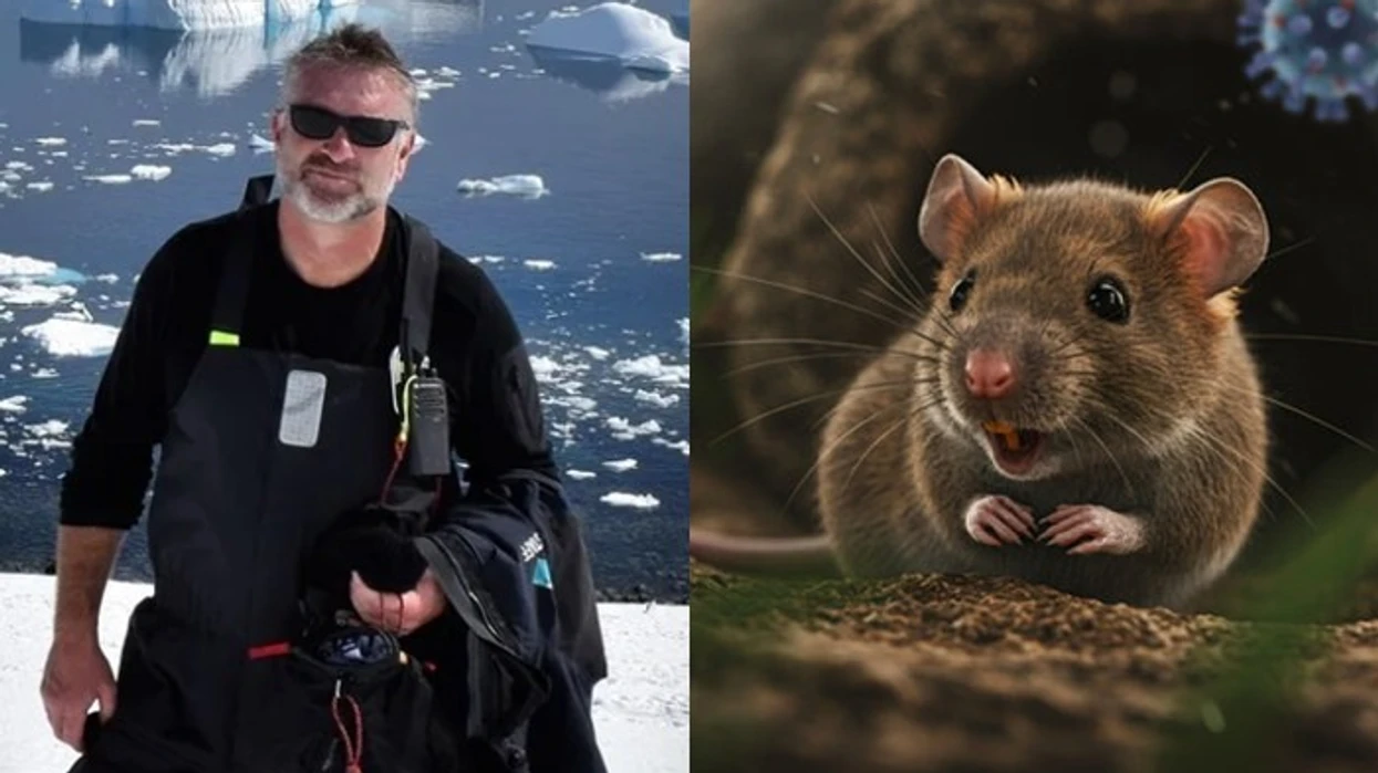 Flet i infektuari me hantavirus: Nuk e di sa do të qëndroj në spital