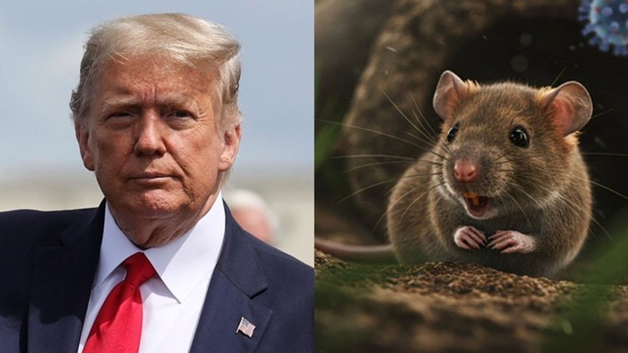 Shpërthimi i hantavirusit, deklarohet Donald Trump