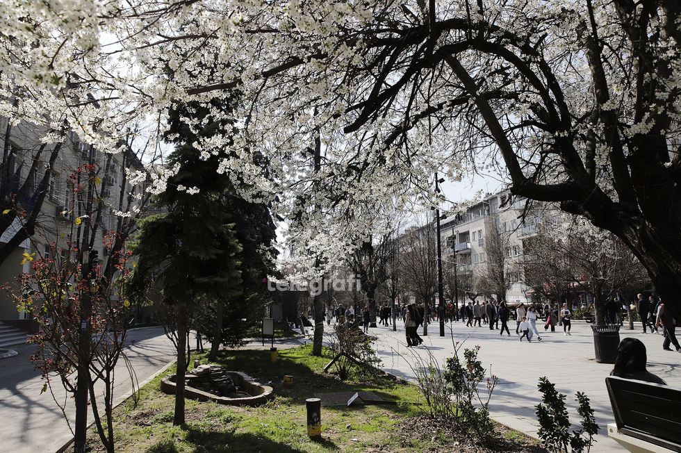 Moti të enjten, temperaturat deri në 18 gradë