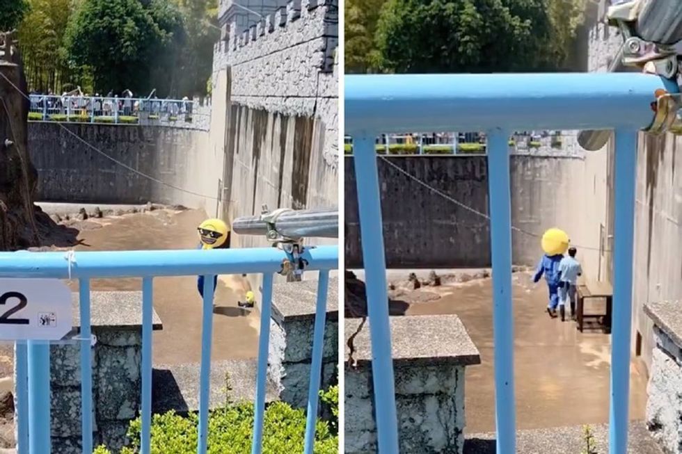 Burrë hyn në ambientin e majmunëve për t’i lënë dhuratë majmunit Punch
