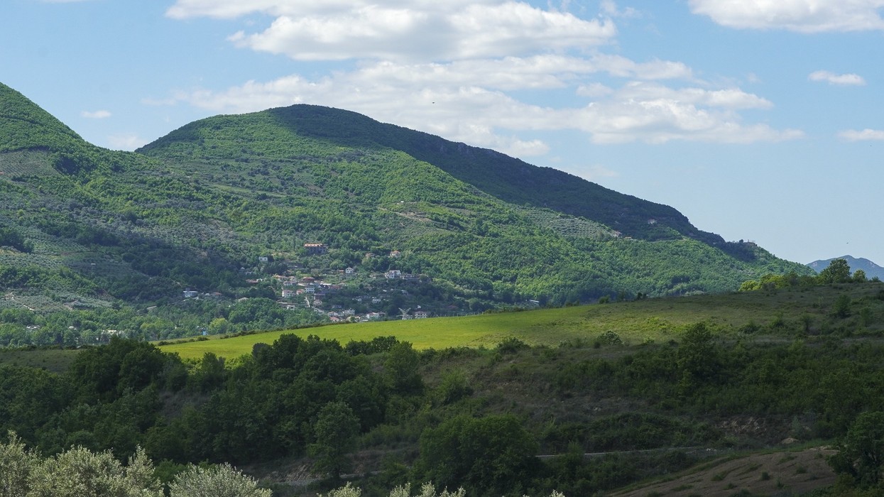 Nafta dhe plehrat kimikë, fermerët (s)punojnë tokën!