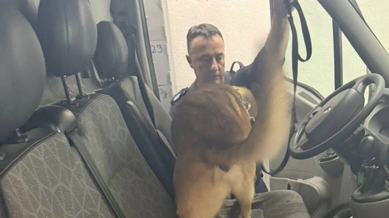 Tentuan që përmes furgonit të kuzhinës të fusin narkotikë në burg, SHKK jep detaje nga rasti në Dubravë Tentuan që përmes furgonit të kuzhinës të fusin narkotikë në burg, SHKK jep detaje nga rasti në Dubravë