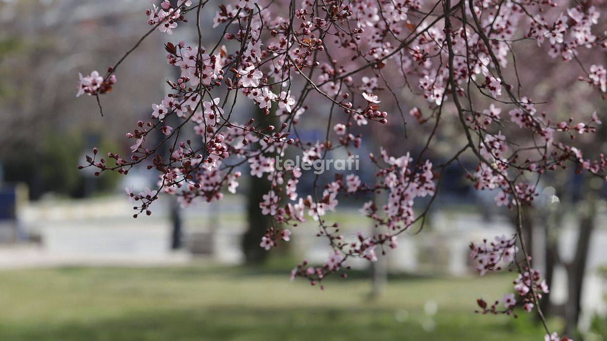 Mot me diell, temperaturat deri në 29 gradë Mot me diell, temperaturat deri në 29 gradë