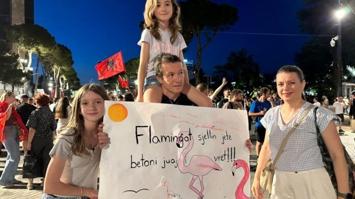 Flamingot rozë, viktima të “luftës hibride” të dezinformimit