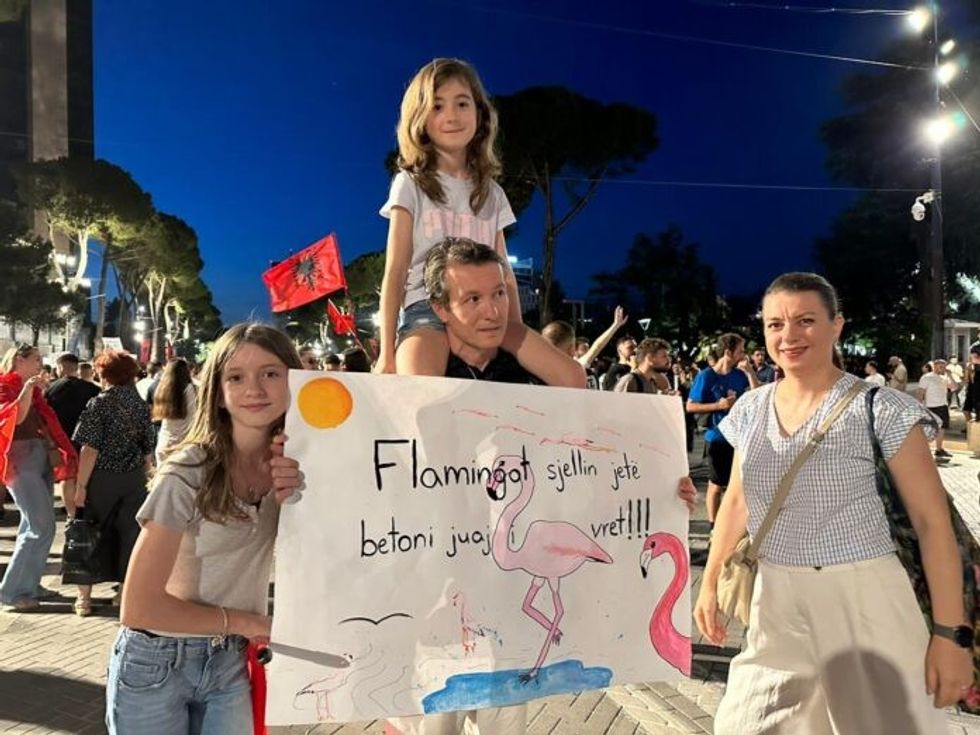 Flamingot rozë, viktima të “luftës hibride” të dez