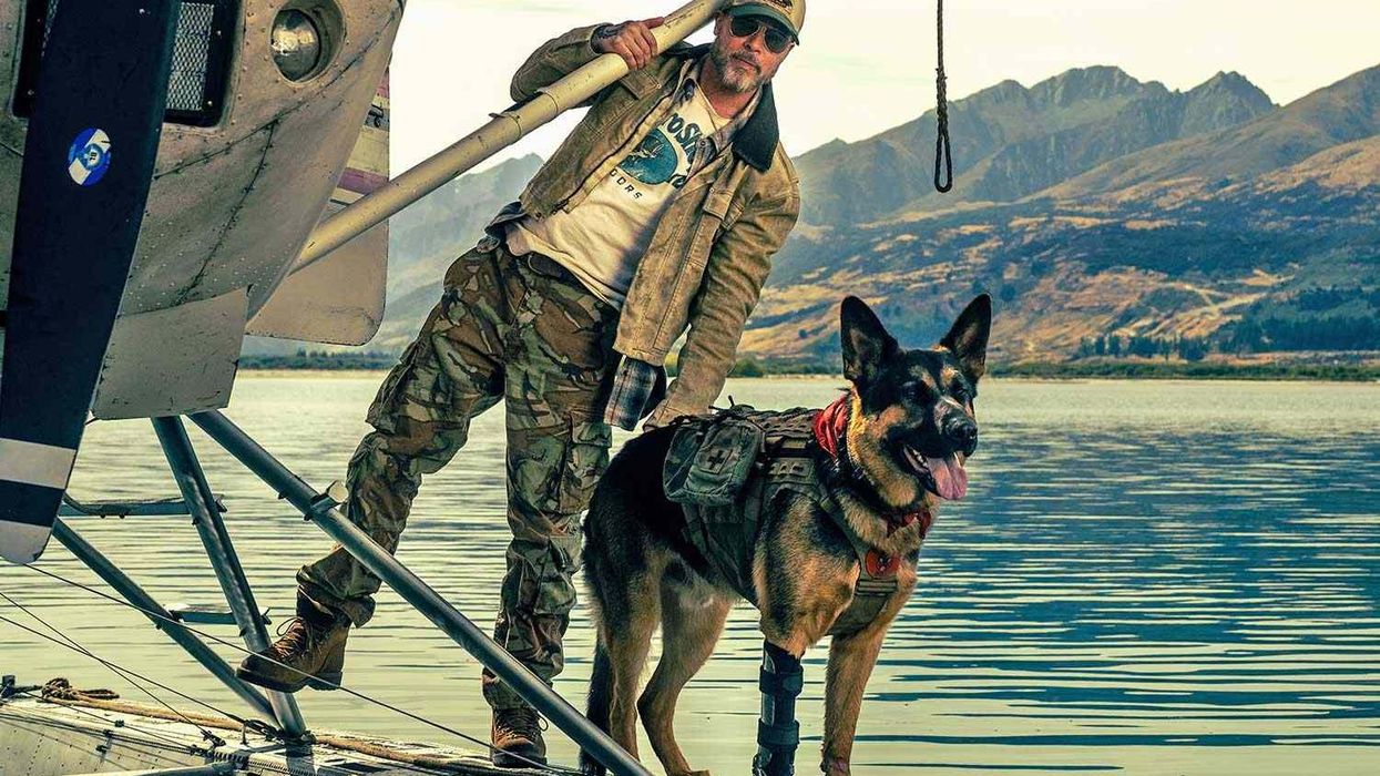 Publikohet traileri i filmit "Heart of the Beast": Brad Pitt dhe një qen bari gjerman luftojnë për mbijetesë në shkretëtirën e Alaskës Publikohet traileri i filmit