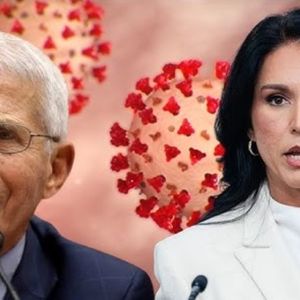 New documents on COVID-19 are published, the US Director of National Intelligence accuses Fauci New documents on COVID-19 are published, the US Director of National Intelligence accuses Fauci