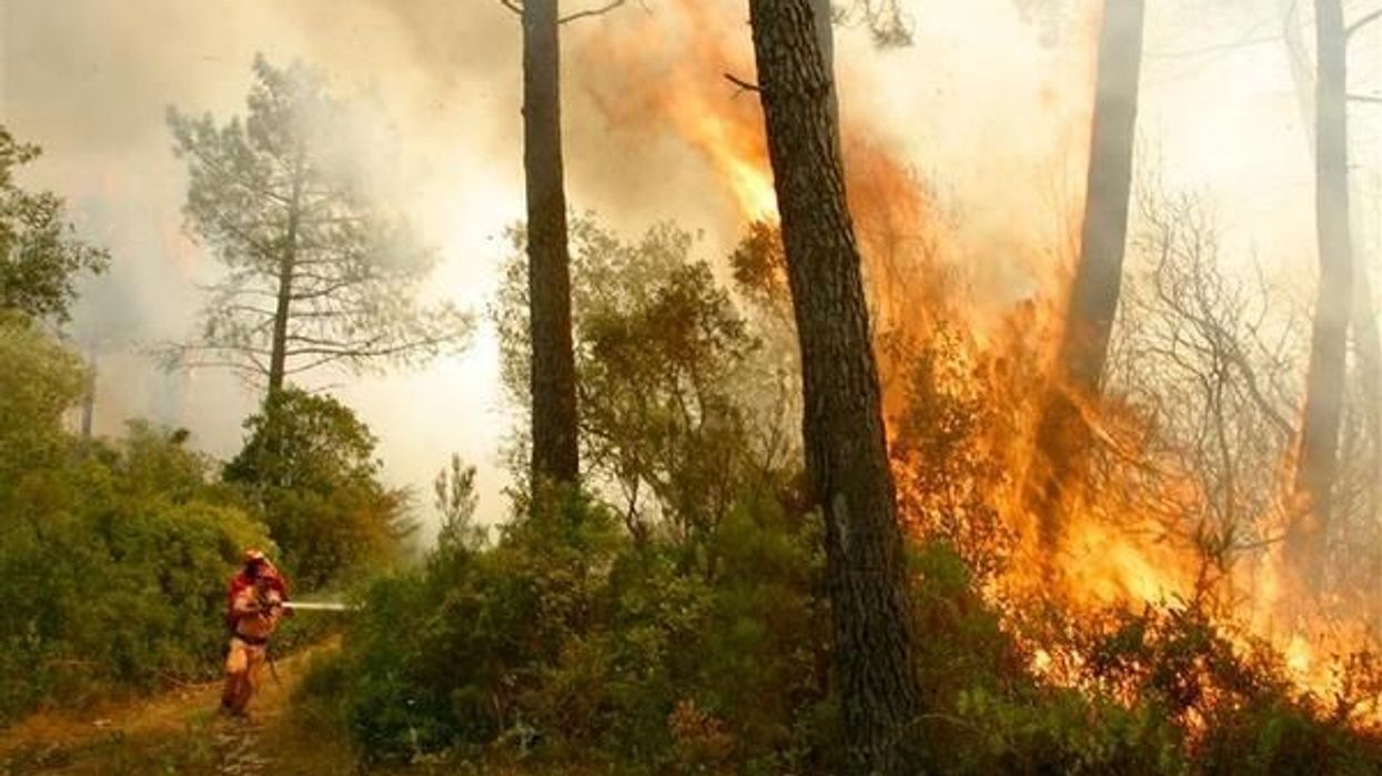 Komuna e Kamenicës apelon te qytetarët që të mos ndezin zjarre në natyrë Komuna e Kamenicës apelon te qytetarët që të mos ndezin zjarre në natyrë