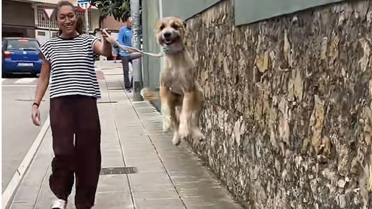 Qeni pa personin e preferuar dhe tregoi se si duket lumturia e pastër