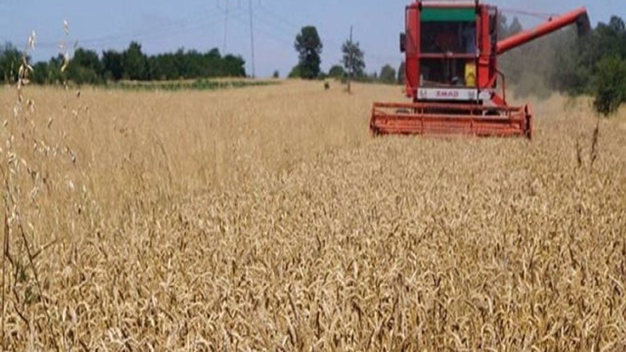 Vazhdojnë përgatitjet, fermerët dhe ekspertët presin rendimente të larta