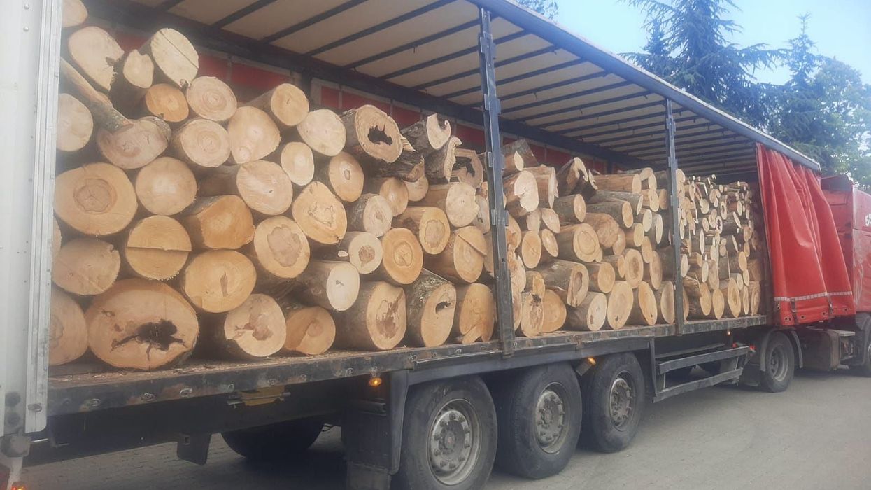 Policia në Dragash sekuestron rreth 35 metra kub dru të transportuar nga Leposaviqi pa dokumentacion përcjellës Policia në Dragash sekuestron rreth 35 metra kub dru të transportuar nga Leposaviqi pa dokumentacion përcjellës