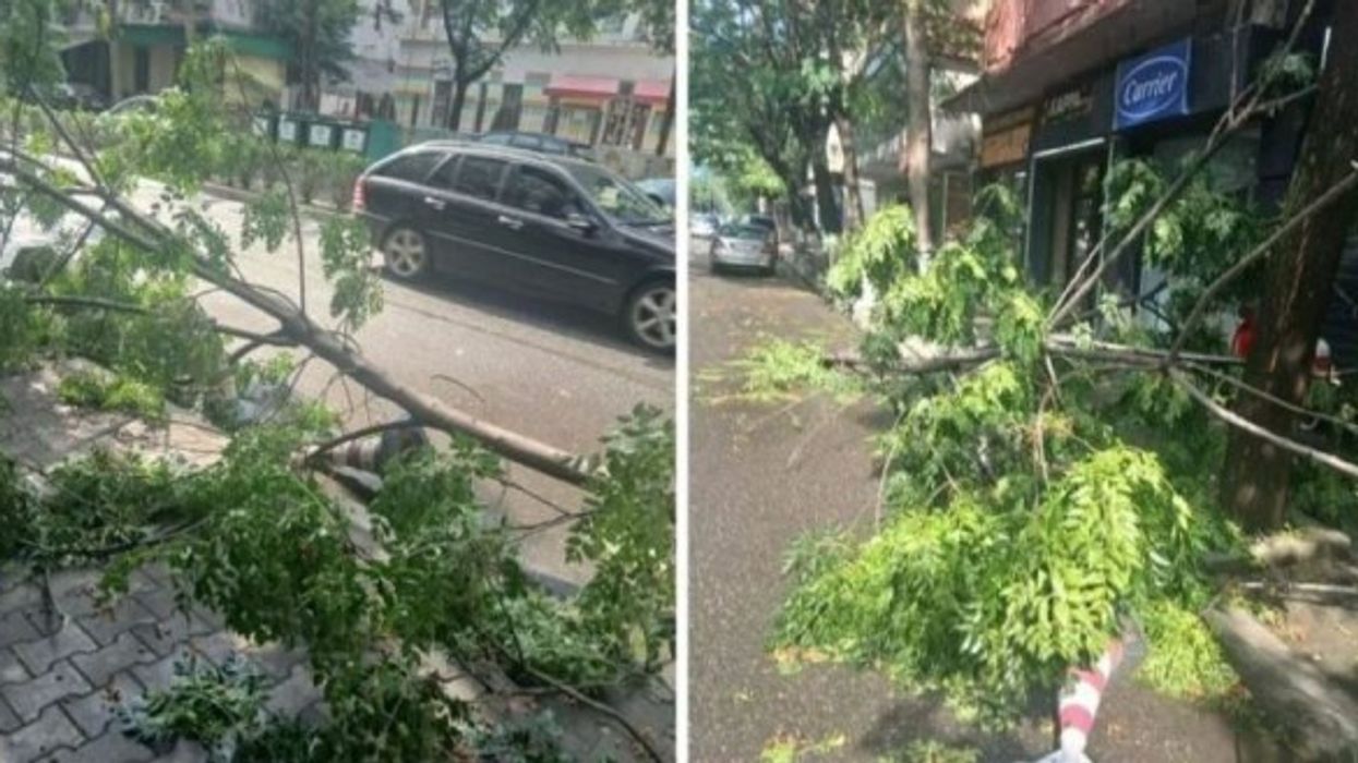 Në Elbasan stuhi me erë e shi, thyhen pemë e dëmtohen shtylla tensioni Në Elbasan stuhi me erë e shi, thyhen pemë e dëmtohen shtylla tensioni
