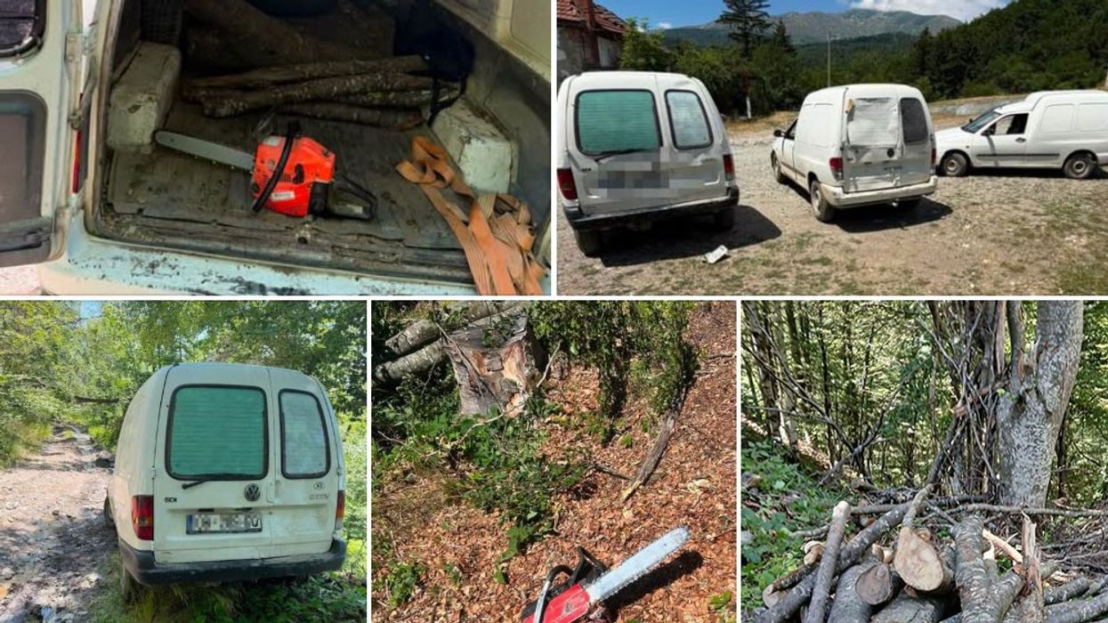 Policia zbulon rast të vjedhjes së pyllit në Kaçanik, konfiskohen tre motosharra Policia zbulon rast të vjedhjes së pyllit në Kaçanik, konfiskohen tre motosharra