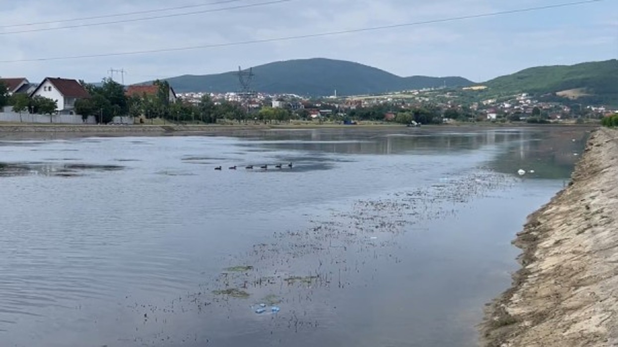 Liqeni Artificial në Mitrovicë po “mbytet” e mbulohet nga barishtet, kush e ka fajin?