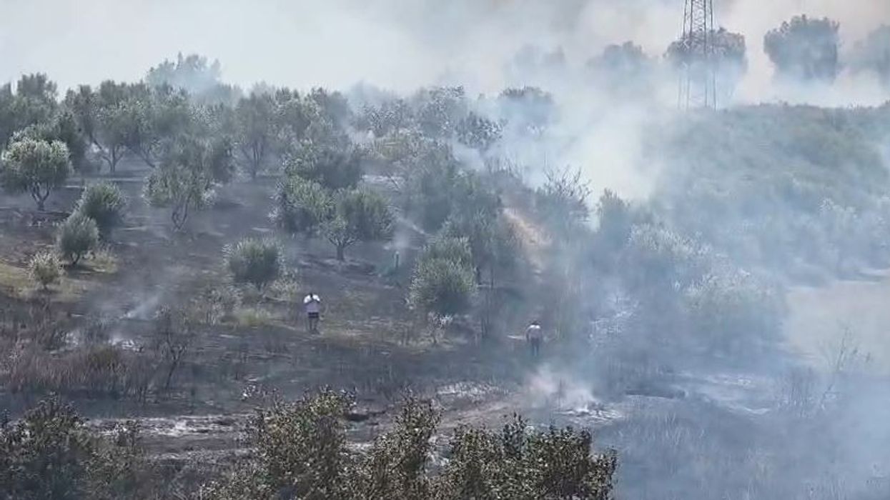 Zjarr në një sipërfaqe me ullinj në Fier, zjarrfikësit dhe banorët në aksion për shuarjen e flakëve Zjarr në një sipërfaqe me ullinj në Fier, zjarrfikësit dhe banorët në aksion për shuarjen e flakëve