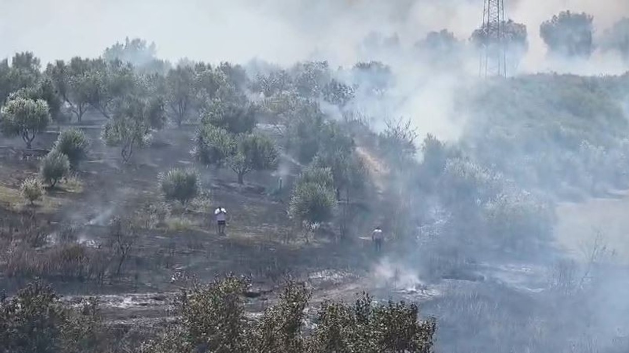 Zjarr në një sipërfaqe me ullinj në Fier, zjarrfikësit dhe banorët në aksion për shuarjen e flakëve
