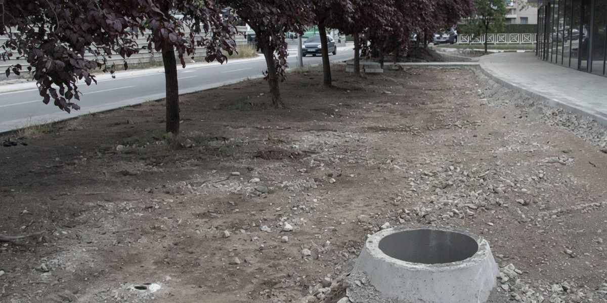 Investimet në sheshin e Drenasit, qytetarët kërkojnë më shumë drunj Investimet në sheshin e Drenasit, qytetarët kërkojnë më shumë drunj