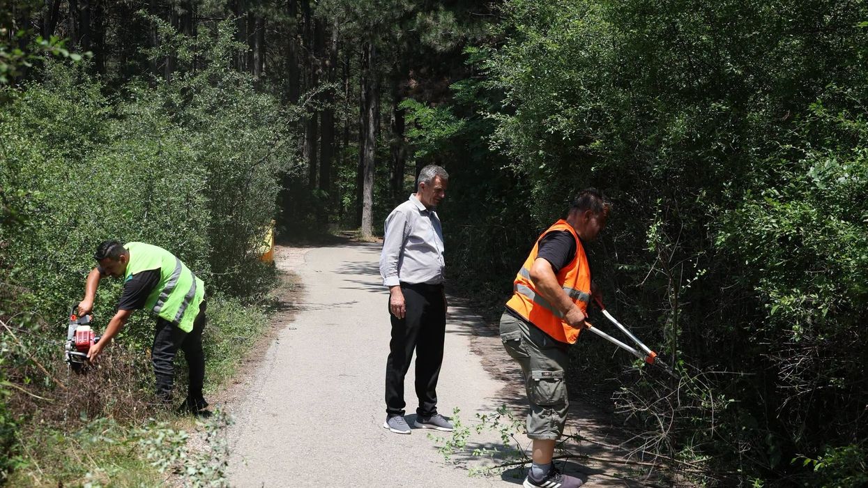 Realizohen punime për pastrimin dhe mirëmbajtjen e Parkut të Pishave në Sllatinë Realizohen punime për pastrimin dhe mirëmbajtjen e Parkut të Pishave në Sllatinë