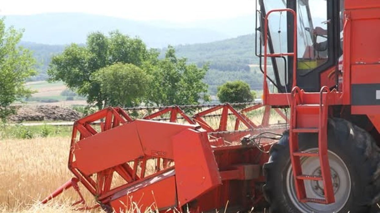 Nis fushata e korrje-shirjeve në Viti, rreth 3 mijë hektarë të mbjella me grurë Nis fushata e korrje-shirjeve në Viti, rreth 3 mijë hektarë të mbjella me grurë