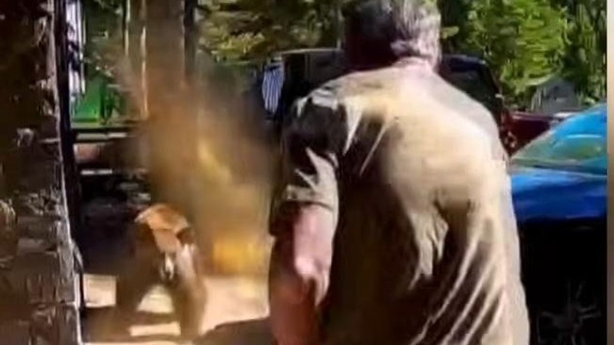 Burri përdor sprej për arinjtë që sulmojnë në Tennessee Burri përdor sprej për arinjtë që sulmojnë në Tennessee